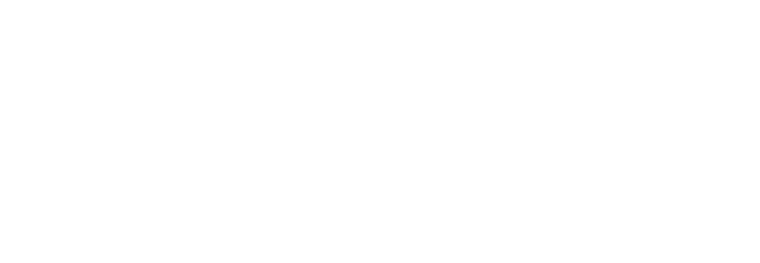 00.logo_FAST SECURITY_VETTORIALE-white