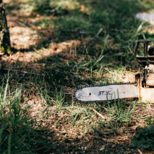 Addetto all'utilizzo della motosega, senza abbattimento di alberi - Aggiornamento